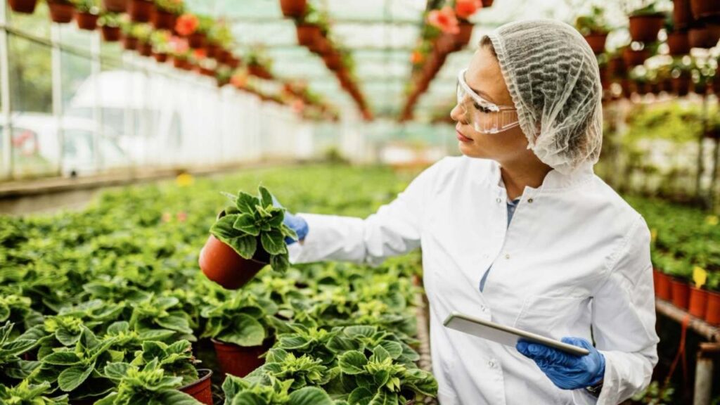 Biotechnology in food