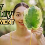 slow beauty movement