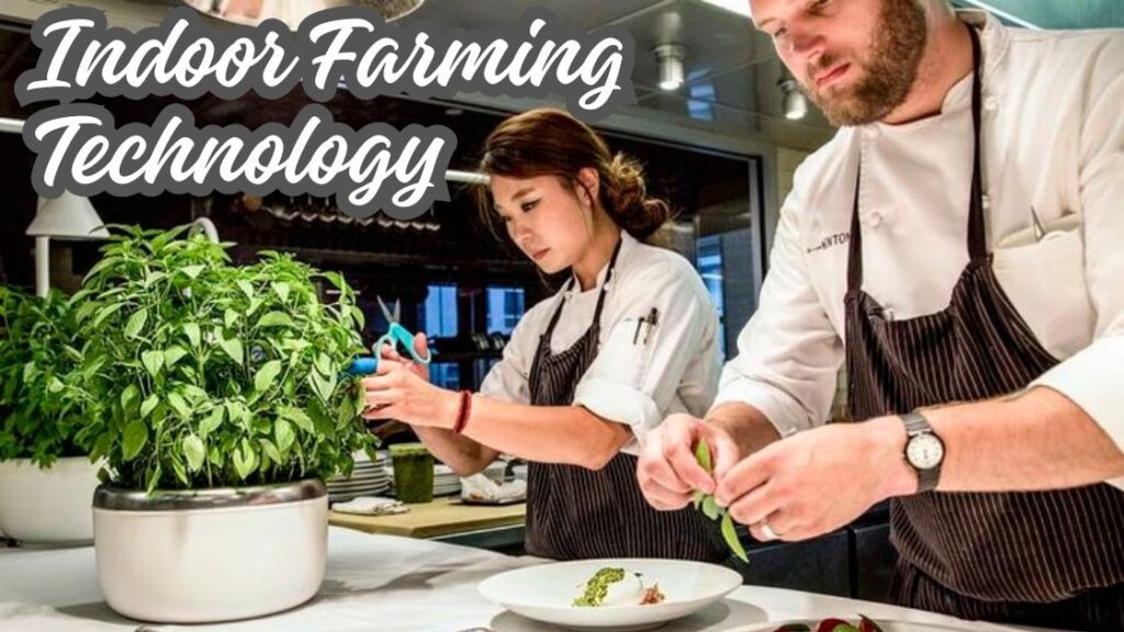 Indoor farming technology