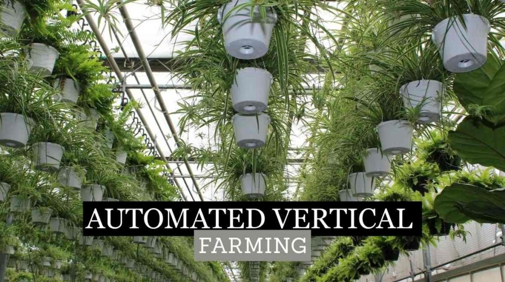 Automated vertical farming