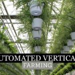Automated vertical farming