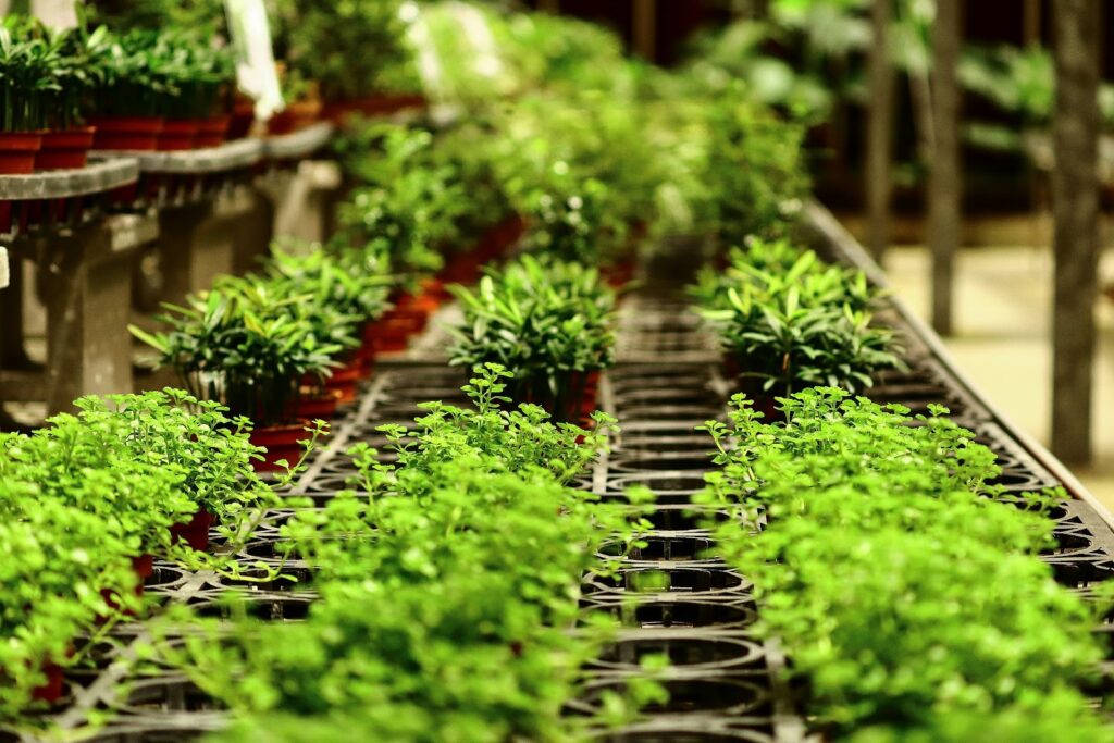 automated growing systems