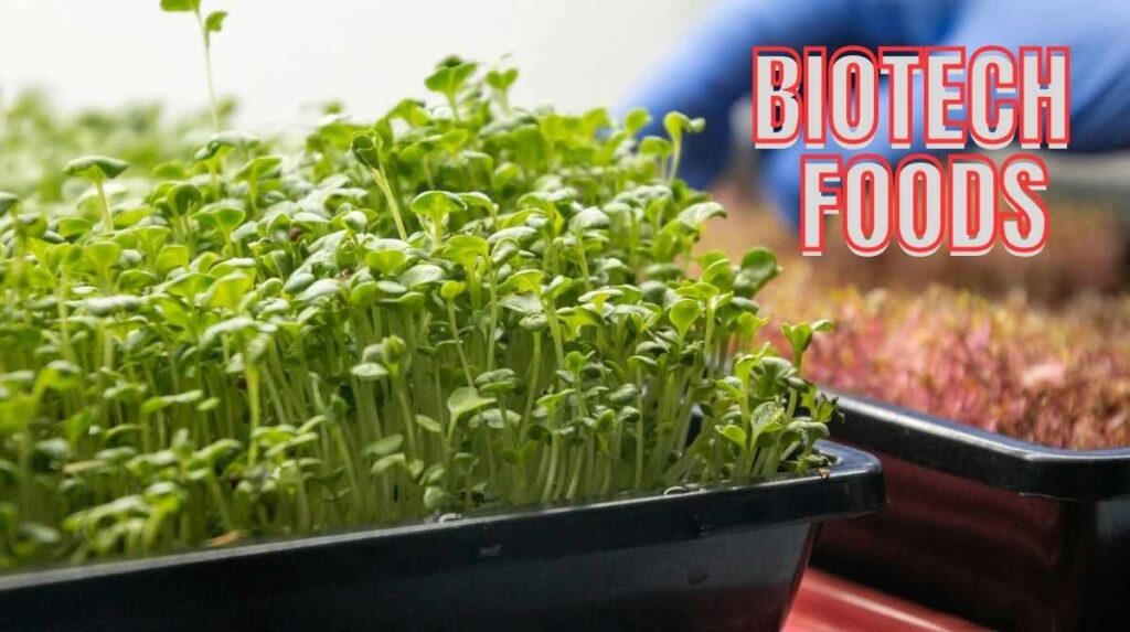 Biotech Foods