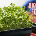 Biotech Foods