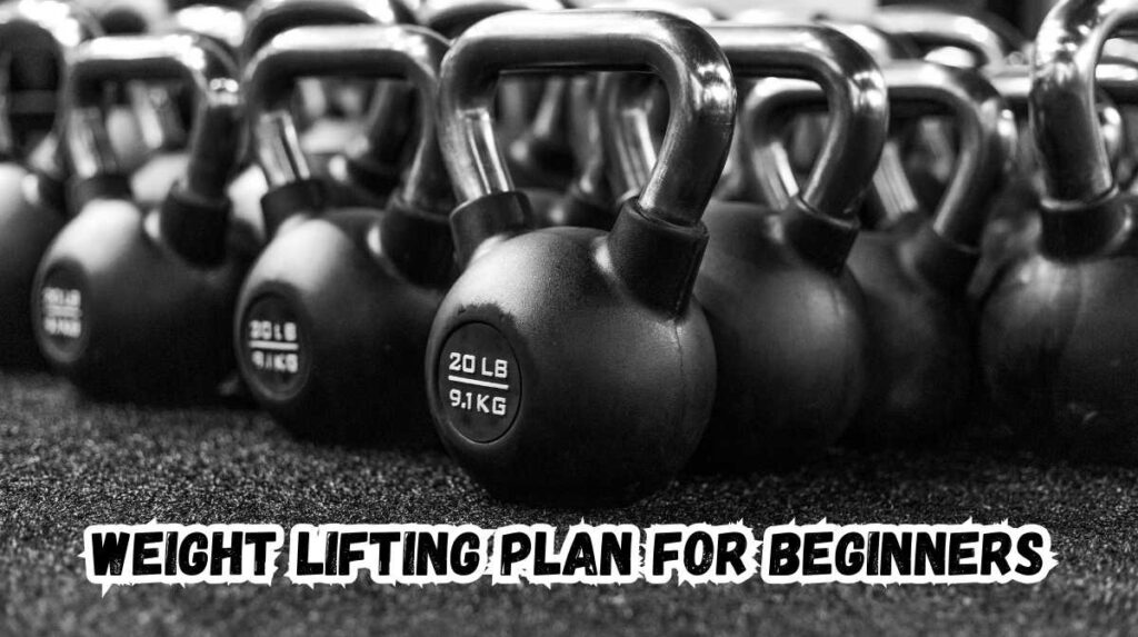 weight lifting plan for beginners