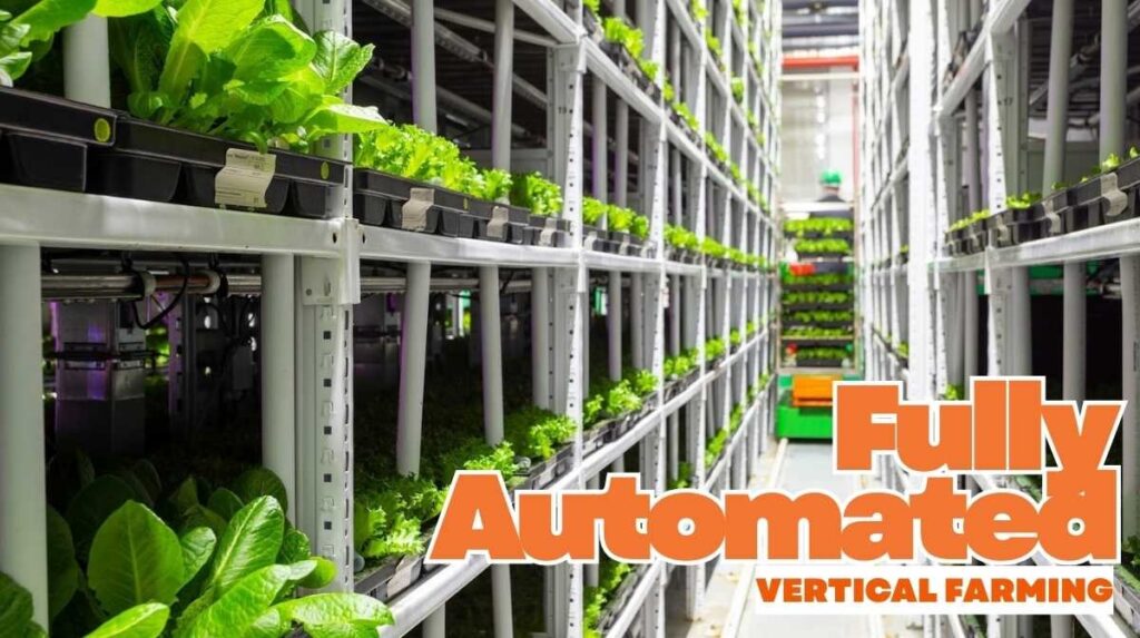 Fully automated vertical farming
