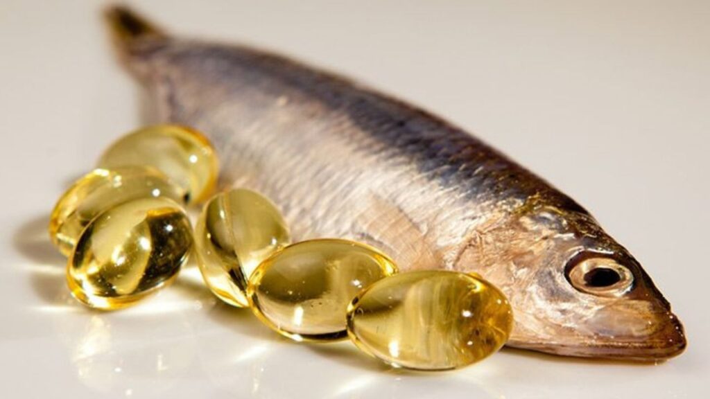 fish oil 