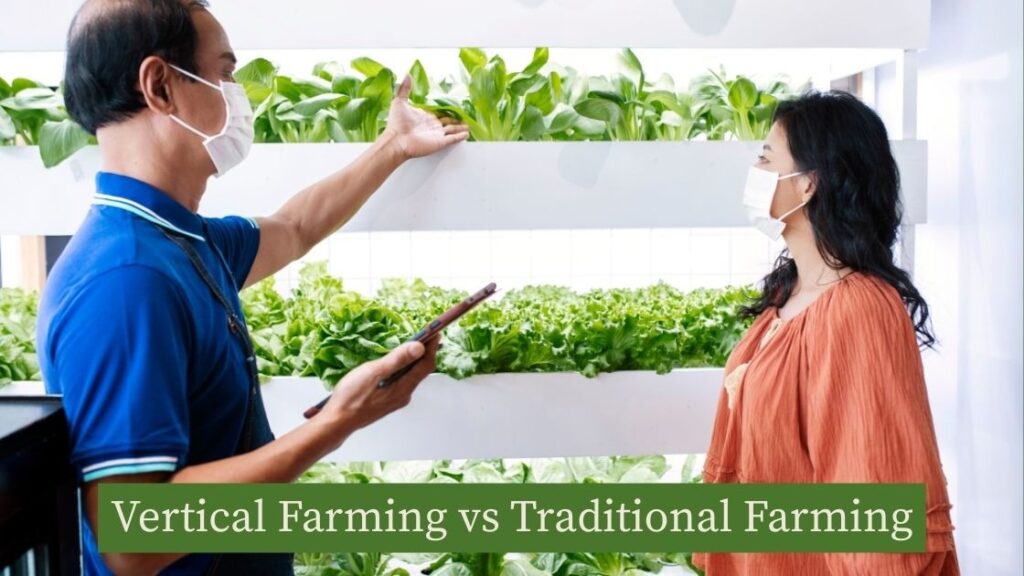 Vertical Farming vs Traditional Farming