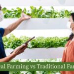 Vertical Farming vs Traditional Farming