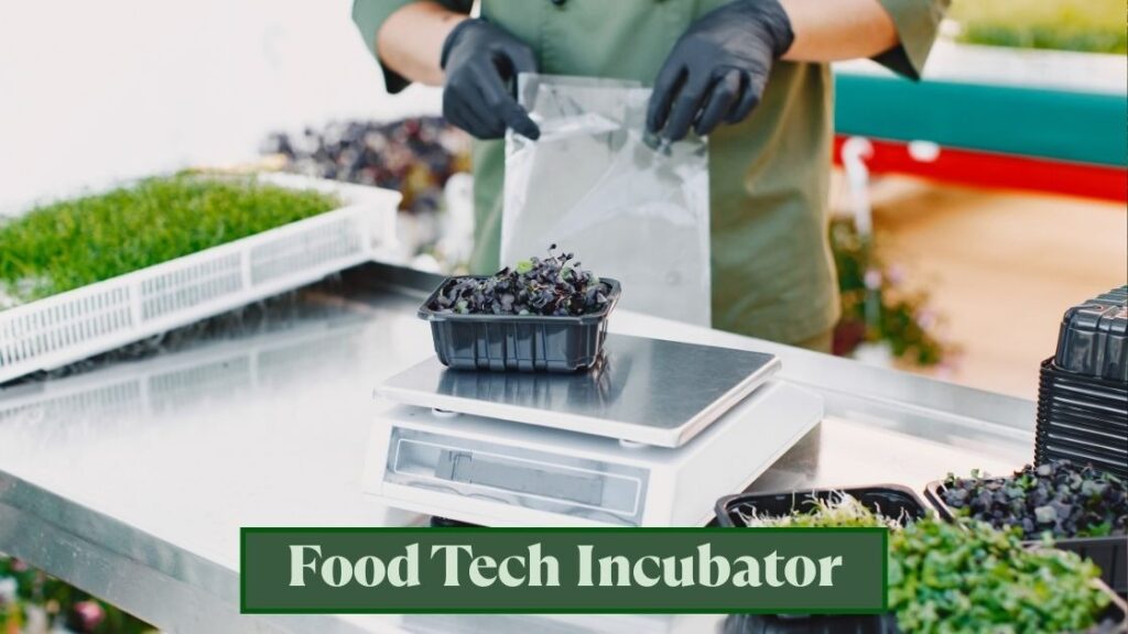 Food Tech Incubator