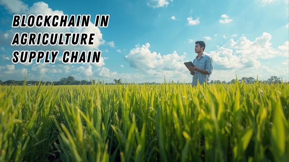 Blockchain in Agriculture Supply Chain