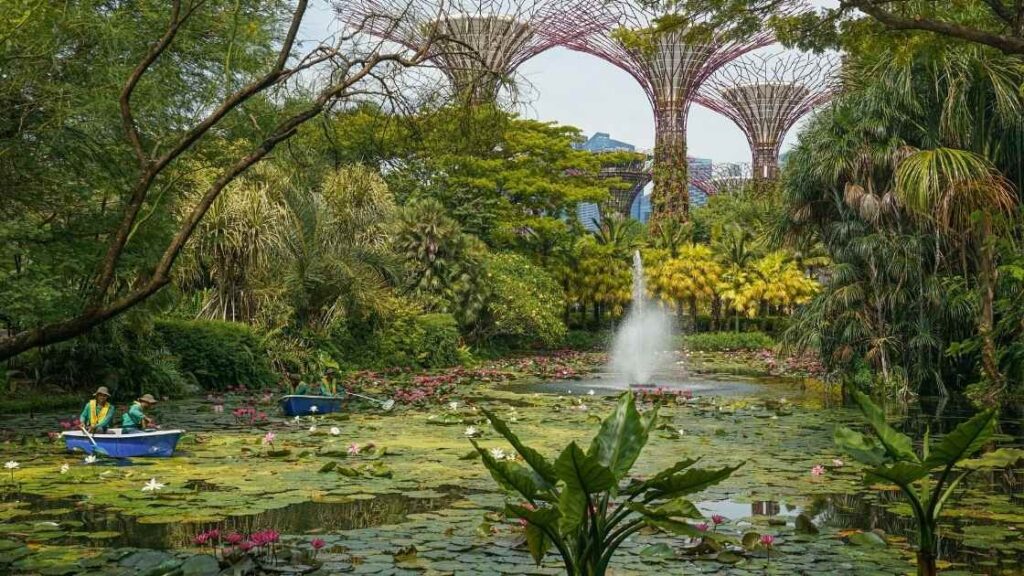 botanical garden